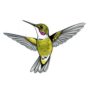 Hummingbird Hovering Png 70 PNG image