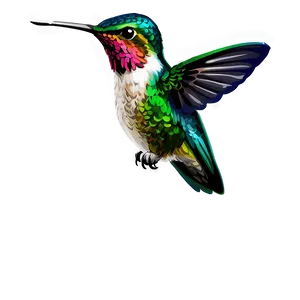 Hummingbird Illustration Png 76 PNG image