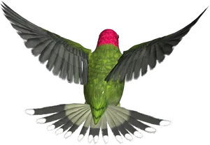 Hummingbird In Flight