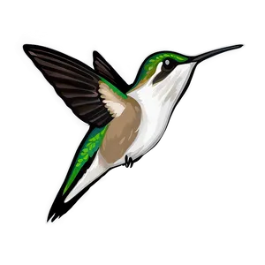 Hummingbird In Flight Png 49 PNG image