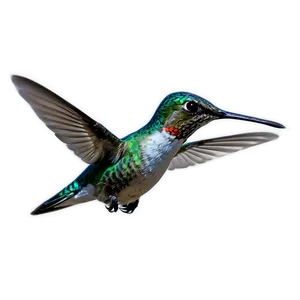 Hummingbird In Flight Png Rim90 PNG image
