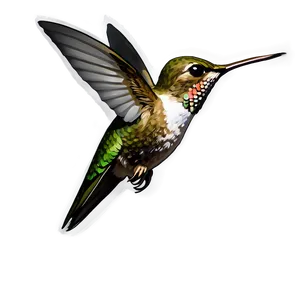 Hummingbird In Flight PNG Sfu75