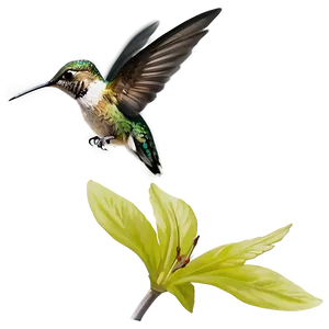Hummingbird In Flight PNG Vbh35