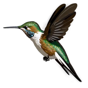 Hummingbird In Motion PNG 05212024
