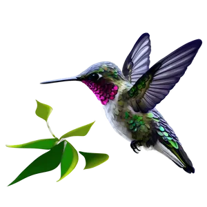 Hummingbird In Motion Png 76 PNG image