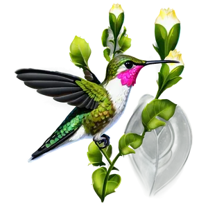 Hummingbird In Paradise Png Tno PNG image