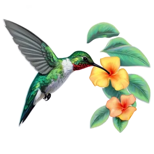 Hummingbird In Tropical Setting PNG 33 PNG