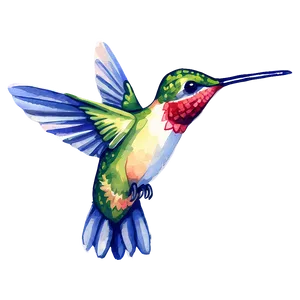 Hummingbird In Watercolor Style Png Bbh98 PNG image