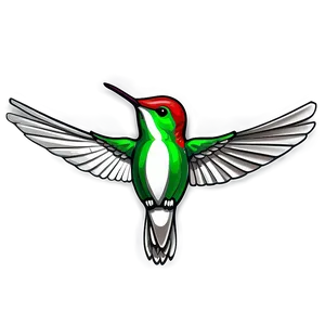 Hummingbird Outline Png 05212024 PNG image