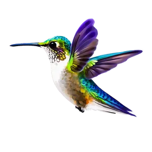 Hummingbird Profile Png Piv PNG image