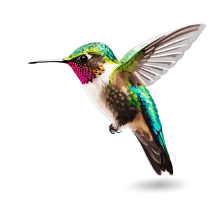 Hummingbird Side View Png 69 PNG image