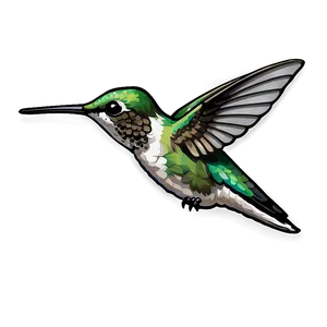 Hummingbird Side View Png Xsd8 PNG image