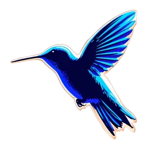 Hummingbird Silhouette Png 05212024 PNG image