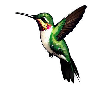 Hummingbird Vector Graphic Png 05212024 PNG image