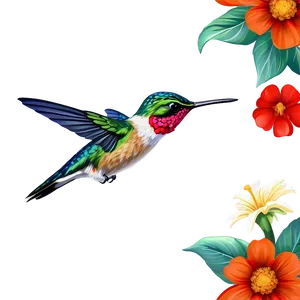 Hummingbird With Flowers Png 05212024 PNG image