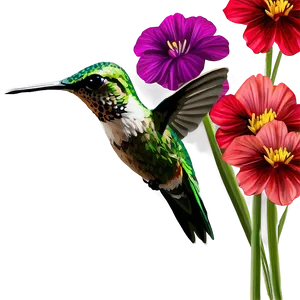 Hummingbird With Flowers Png Urk83 PNG image