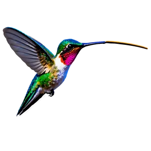Hummingbird With Nature Background Png Mjq PNG image