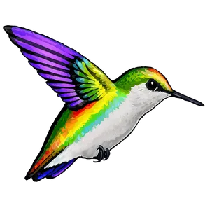 Hummingbird With Rainbow Png 95 PNG image