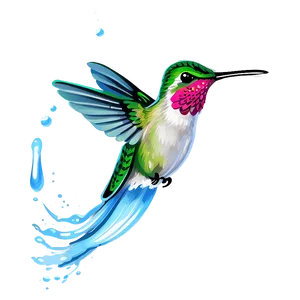 Hummingbird With Water Splash Png 05212024 PNG image