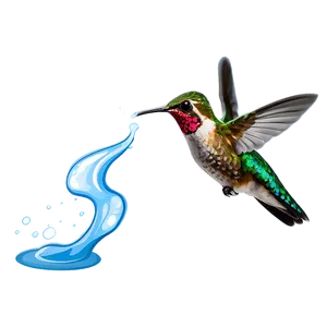 Hummingbird With Water Splash Png 40 PNG image