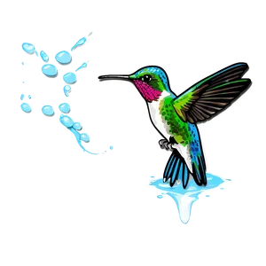 Hummingbird With Water Splash Png 65 PNG image