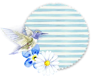 Hummingbirdand Daisy Watercolor PNG