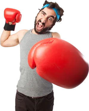 Humorous Boxer Readyfor Action PNG image