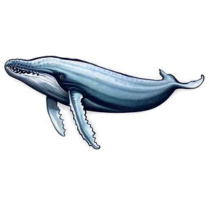 Humpback Whale Ancient Drawing PNG Qdc11 PNG