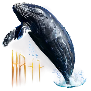Humpback Whale And Diver Interaction PNG Hga