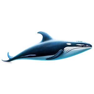 Humpback Whale Environmental Icon PNG 06212024