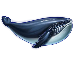 Humpback Whale Environmental Icon PNG 63 PNG