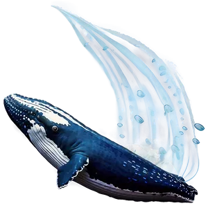 Humpback Whale Gentle Giant PNG 64