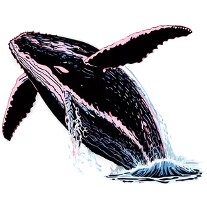 Humpback Whale In Sunset Silhouette PNG 06212024