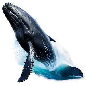 Humpback Whale Ocean Wave PNG 06212024 PNG
