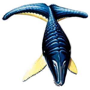 Humpback Whale Png Cvu75 PNG image