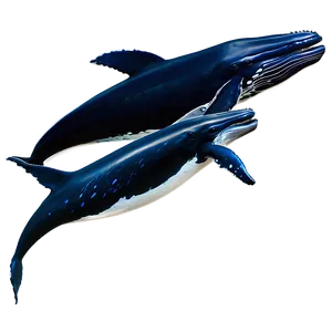 Humpback Whale Pod Family Png 12 PNG image