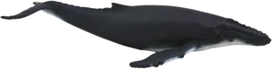 Humpback Whale Silhouette PNG image