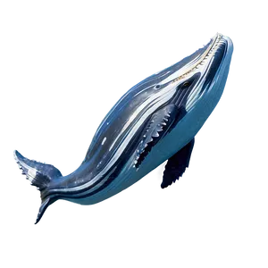 Humpback Whale Song Visualization PNG 06212024