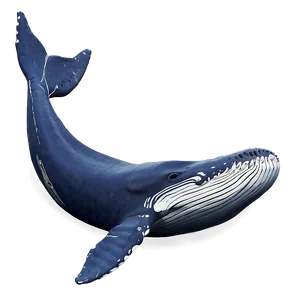 Humpback Whale Song Visualization PNG 06212024