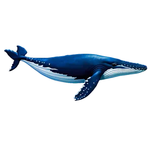 Humpback Whale Spirit Animal PNG 50