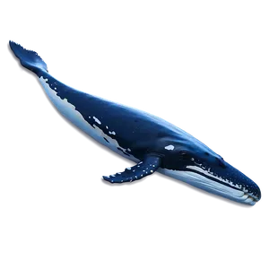 Humpback Whale Spirit Animal PNG 90 PNG