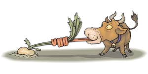 Hungry_ Bull_ Pulling_ Carrot