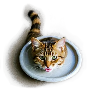 Hungry Cat Meme PNG 11