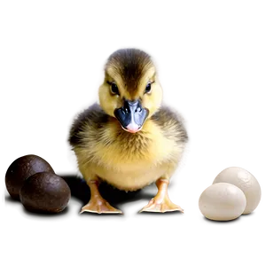 Hungry Duckling Png Tlv44 PNG image