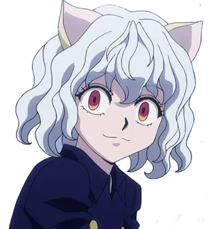 Hunter X Hunter Character With White Hairand Cat Ears PNG image