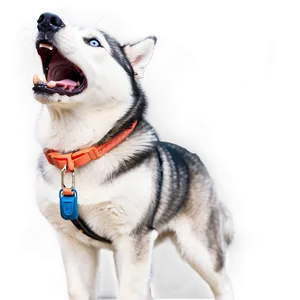 Husky Dog Barking PNG Nid94