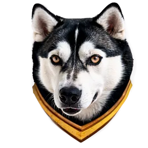 Husky Dog Head Png 94 PNG image