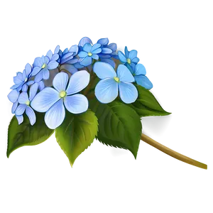 Hydrangea Clipart Png 13 PNG image