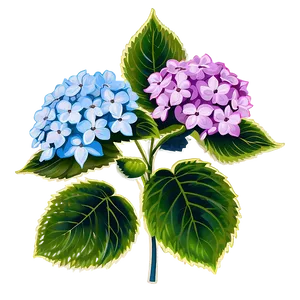 Hydrangea Clipart Png 33 PNG image