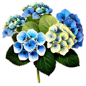 Hydrangea Flower Png Lrg88 PNG image